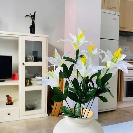 公寓 Quintana Apartamento Junto A Puerto Marina